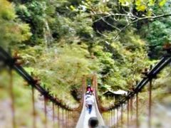 -磐安十八涡风景区
