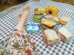 -南汇嘴观海公园