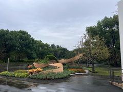 -上海滨江森林公园