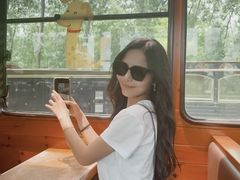 -合肥滨湖国家森林公园