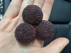 -东门小吃街
