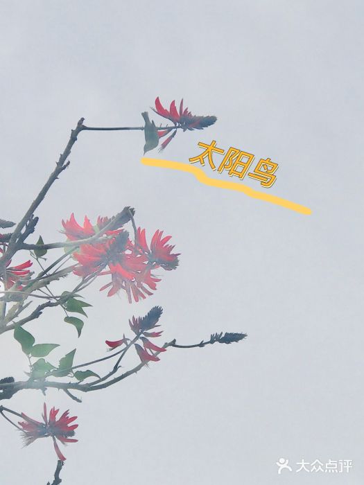 洛阳桥图片