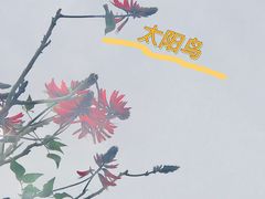 -洛阳桥
