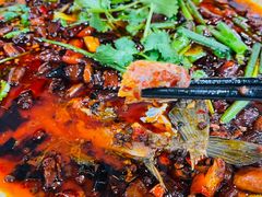 -邛海风味特色菜馆