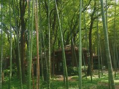 -同里国家湿地公园