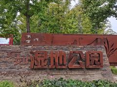 -东郊湿地公园