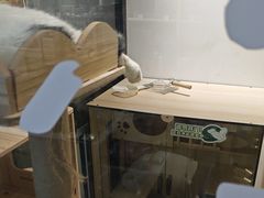 -废柴猫概念馆·桌游电玩卡牌(人广世茂店)