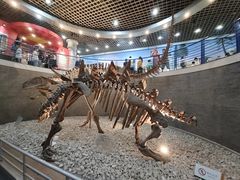 -国家自然博物馆