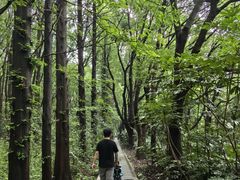 -同里国家湿地公园
