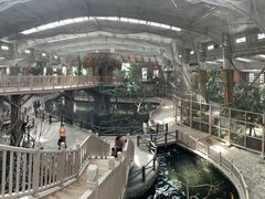 -南宫五洲植物乐园