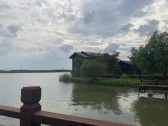 -南湖湿地公园