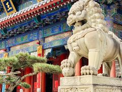 -天龙宝严素食馆(大兴善寺店)