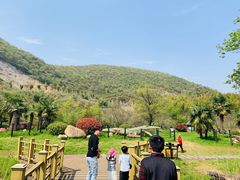 -金钉子远古世界景区