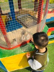 -萌宠亲子动物乐园(槐房万达店)