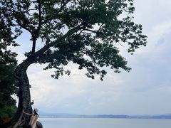 -抚仙湖禄充风景区