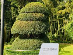 -苏州河梦清园环保主题公园