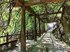 -雁荡山三折瀑景区