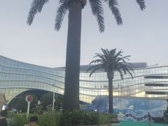 -苏州湾梦幻水世界