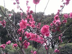 -汇雅温泉