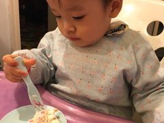 -咖咖熊蛋糕定制·蓝风车动物奶油
