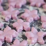 小说里的“美”食，满足你的少女心~