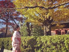 -东京浅草和服体验江户和装工房雅(浅草本店)