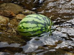 -楠溪江风景名胜区