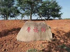 -幸福湖国际会议中心