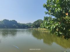 -番禺大夫山森林公园