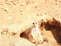 -杭州野生动物世界