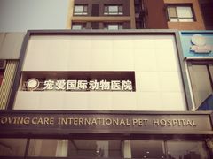 -宠爱国际动物医院· 猫科· 外科·中兽医(长白店)