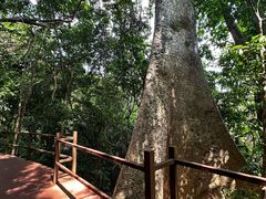 -中国科学院西双版纳热带植物园