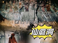 -仙蘑洞