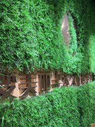 -变美丽半永久纹眉连锁·机器野生眉•洗眉