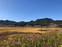 -天女山森林公园