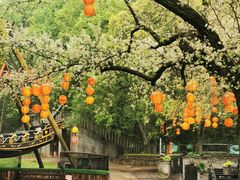 -WeLope紫金山探险公园
