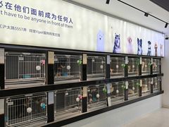 -翊宠yipet猫狗购宠庄园