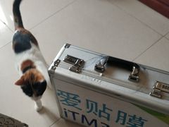 -爱贴膜 贴手机平板电脑膜
