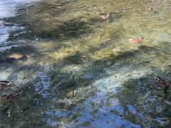 -水磨沟公园