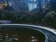 -苏州湾·王焰温泉