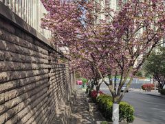-湖南人家湘菜馆(镇江路店)