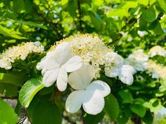 -白塘生态植物园