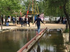 -东湖落雁景区
