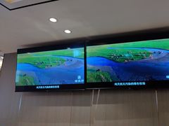 -蝎王府羊蝎子(天通苑店)