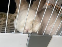 -小意思咖啡店(草桥店)
