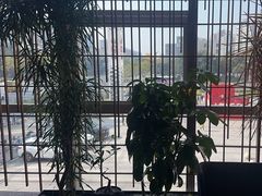 -柴门头啖汤·经典川菜·慢火汤品(锦城万达店)