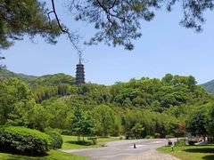 -阿育王寺