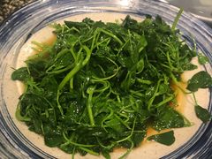 豆苗-苏浙徽·农家大院(吴江中山南路店)