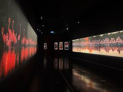 -罗红摄影艺术馆