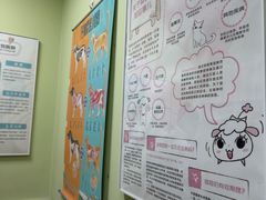 -瑞鹏宠物医院·夜间急症·心超·猫科(祖庙分店)